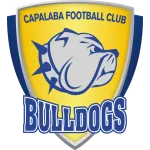 Home Team Logo
