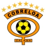 Home Team Logo